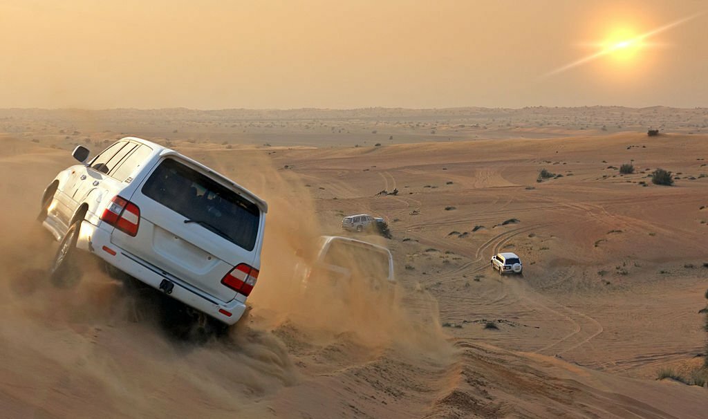 Dubai's Desert: A Safari of Mysteries
