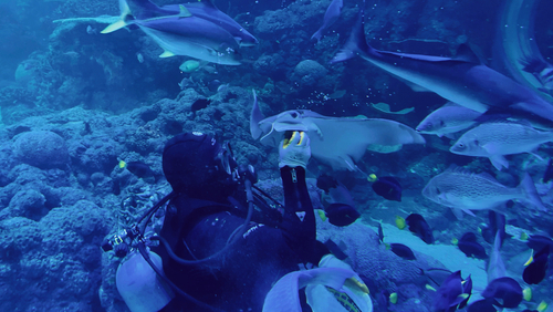 Unfathomable Depths: Dive into the Unknown